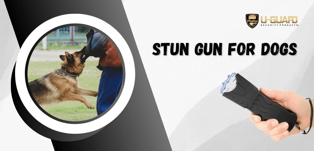 Stun Gun for Dogs