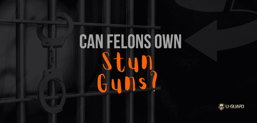Can Felons Own Stun Guns
