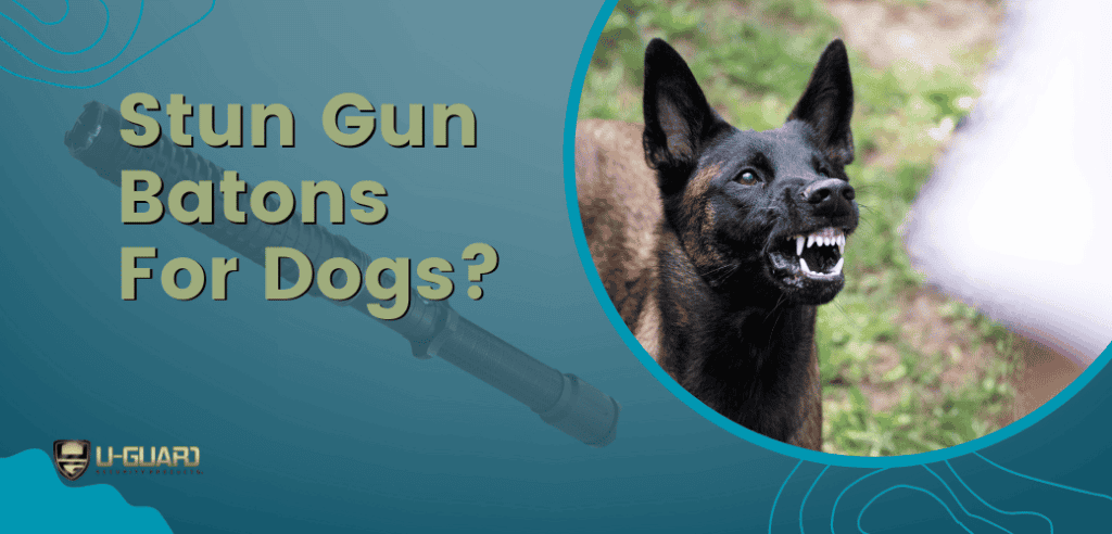 Stun Gun Baton for dogs